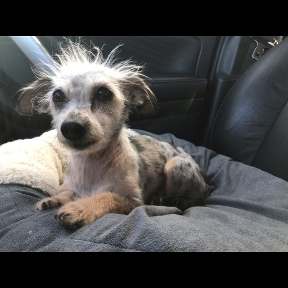 New Kid in Town - Picture 6 of 15